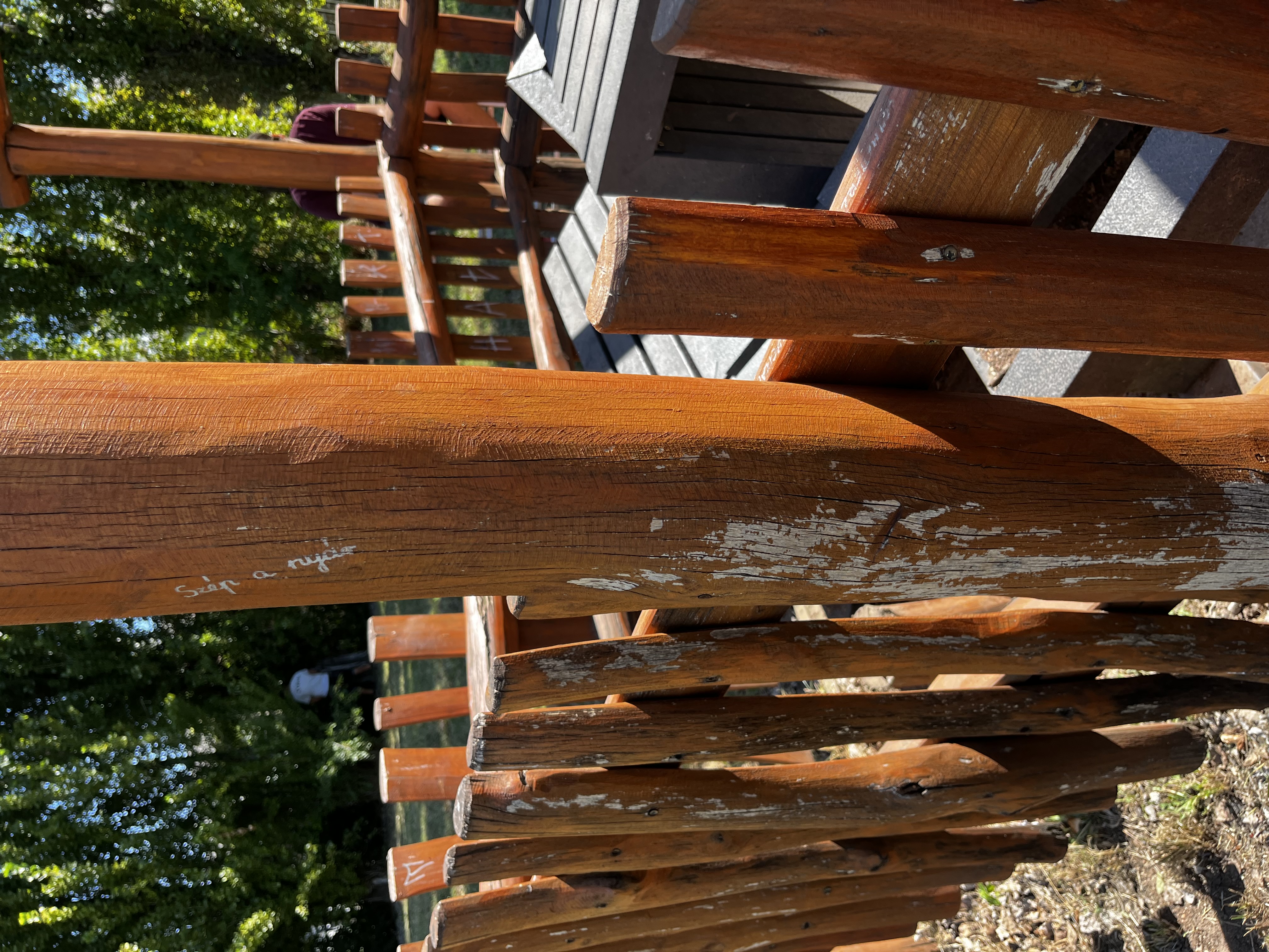 Kerti kiülő - Előtte